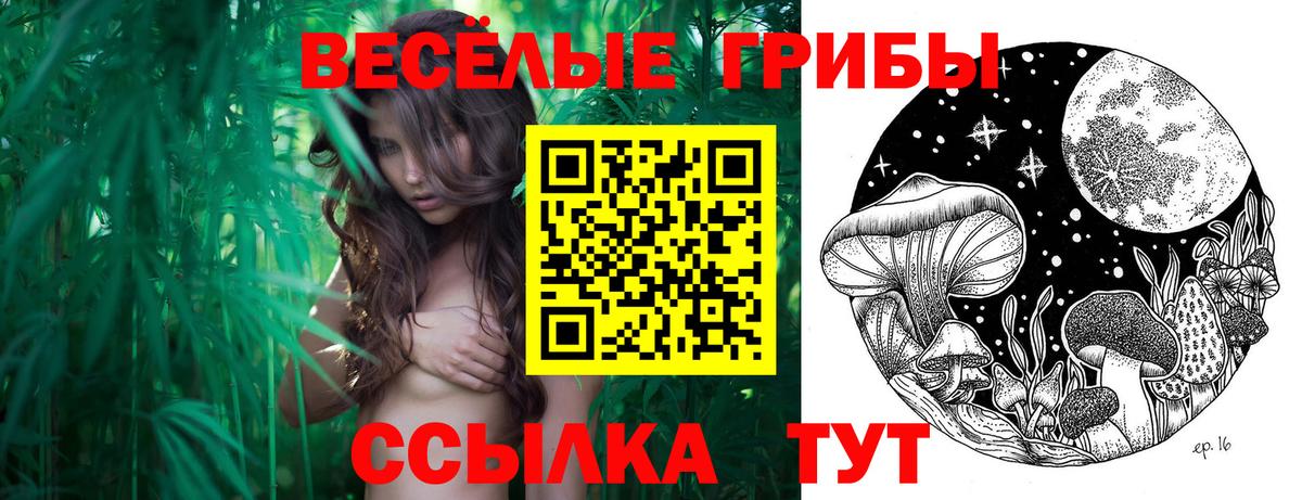 Ирбит  наркотики  Вход с VPN  Псилоцибиновые грибы Magic Shrooms 
